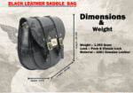 Black Saddle Bag Pair (1)